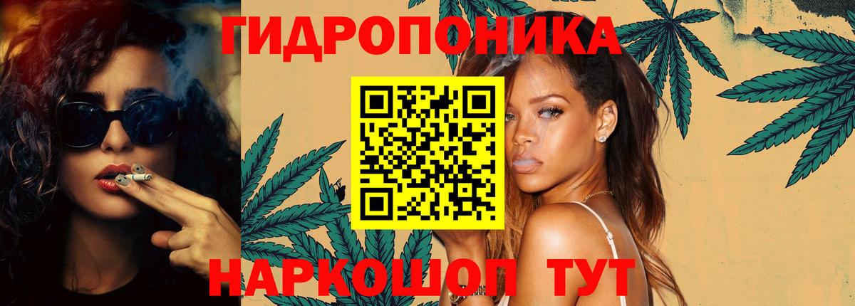 Каннабис сатива  Канабис индика  Свободный  Канабис конопля  Вход с VPN 